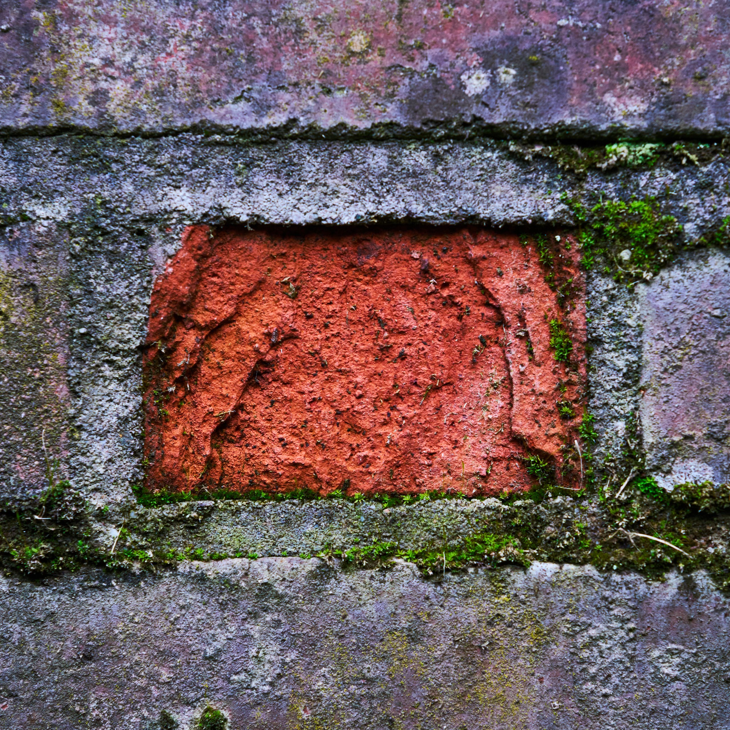 2026 03 07 Landschaftspark Nord 0214